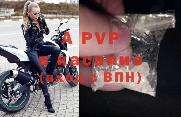 сатива Алзамай