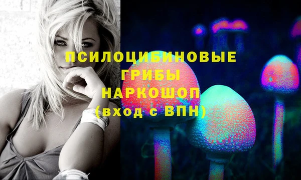 дурь Алексин