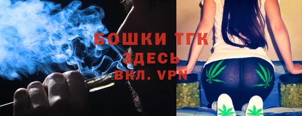 сатива Алзамай