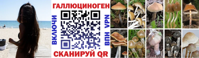 где купить наркотик  mega вход  Псилоцибиновые грибы мухоморы  Тайшет 